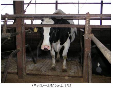 阿寒グリーンヒル4