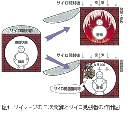 見張番1