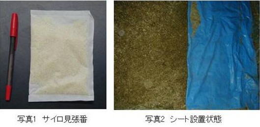 見張番2