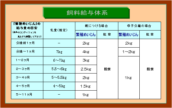 和牛繁殖給与体系
