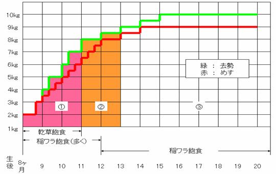 名人ｴﾌﾜﾝ肥育給与体系1