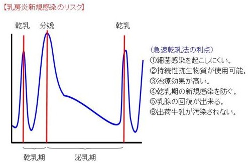 乾乳期の重要性5