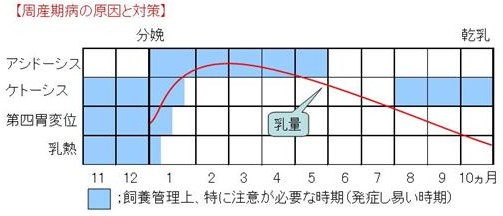 乾乳期の重要性8