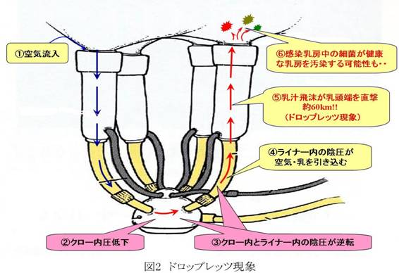 図2 ドロップレッツ2