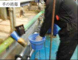 手順5