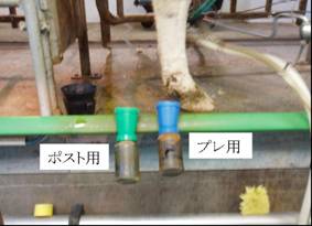 手順8