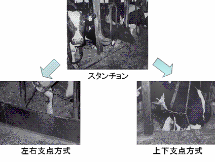 繋ぎ牛舎2