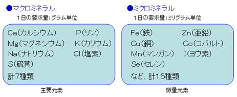 ミネラルについて1