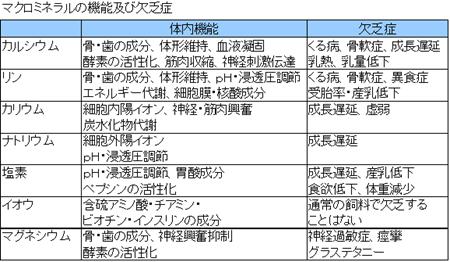 ミネラルについて2