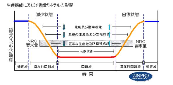 ミネラルについて4