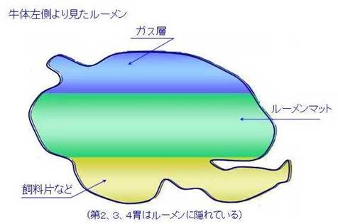 ルーメン1