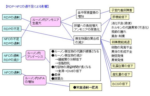 蛋白質と炭水化物のﾊﾞﾗﾝｽ2-1