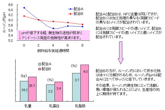 蛋白質と炭水化物のﾊﾞﾗﾝｽ4