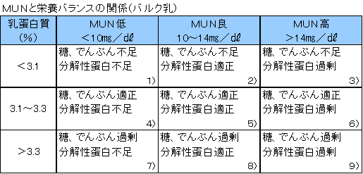 MUNについて2