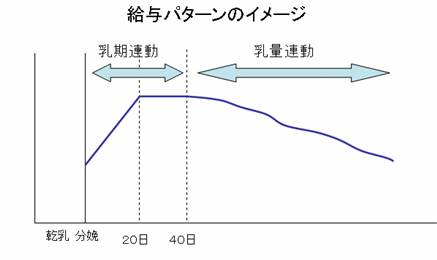 給与パターンのイメージ